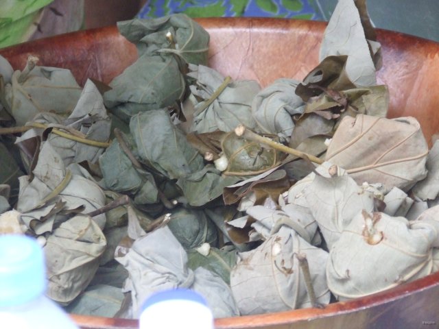 81- Pain ipo dans les feuilles de purau 